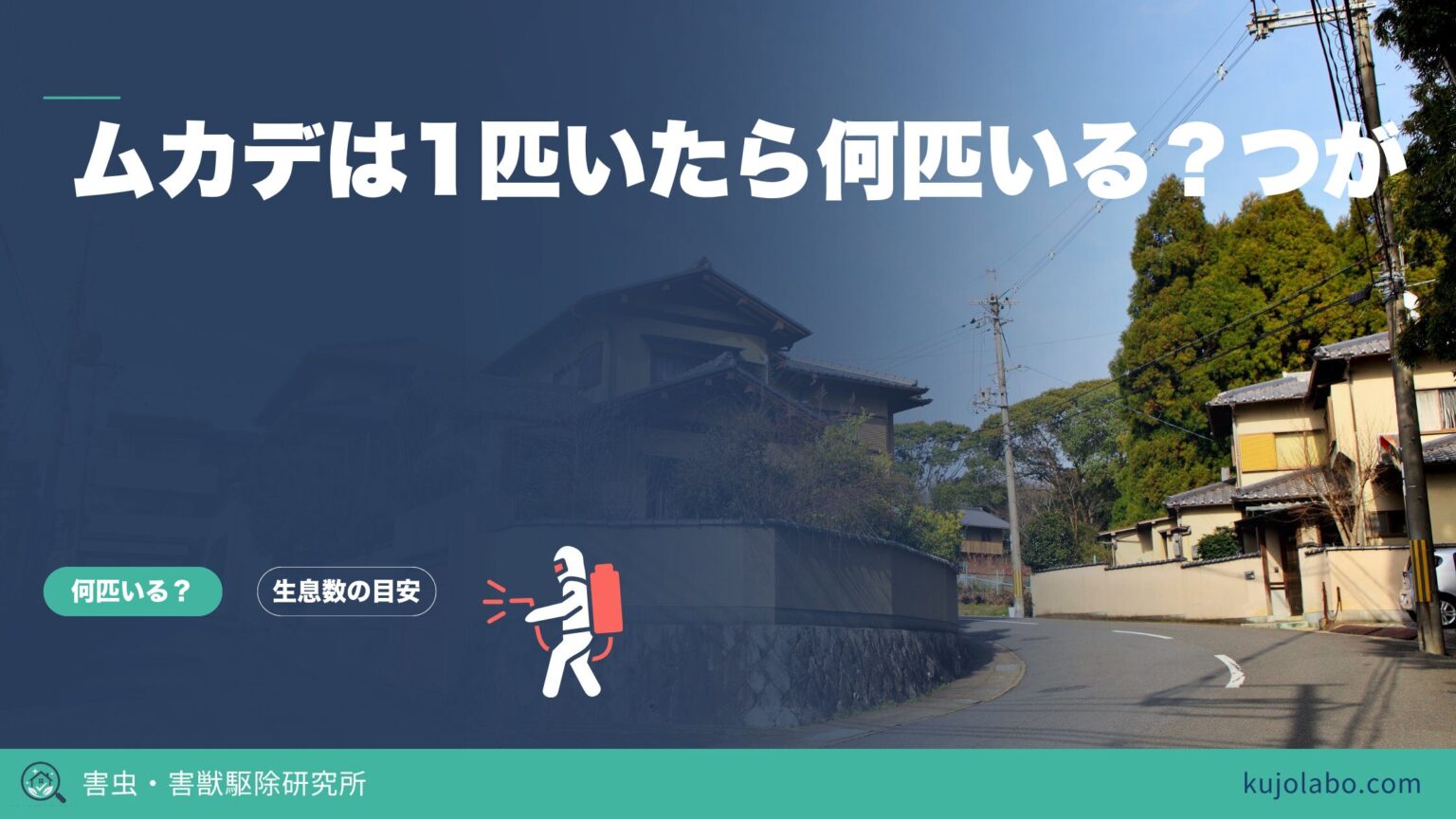 ムカデは1匹いたら何匹いる?つがい説の真相と複数のサイン | 害虫・害獣駆除研究所